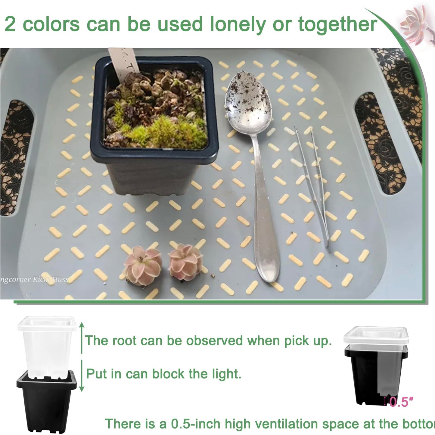 Gyfofix 2 Inch Square Nursery Pots, 50 Pack (25 Clear + 25 Black) Seedling Starter Pots, Plastic Plant Pots with Drainage Holes, for Seed Germination, Root View, and Light Blocking