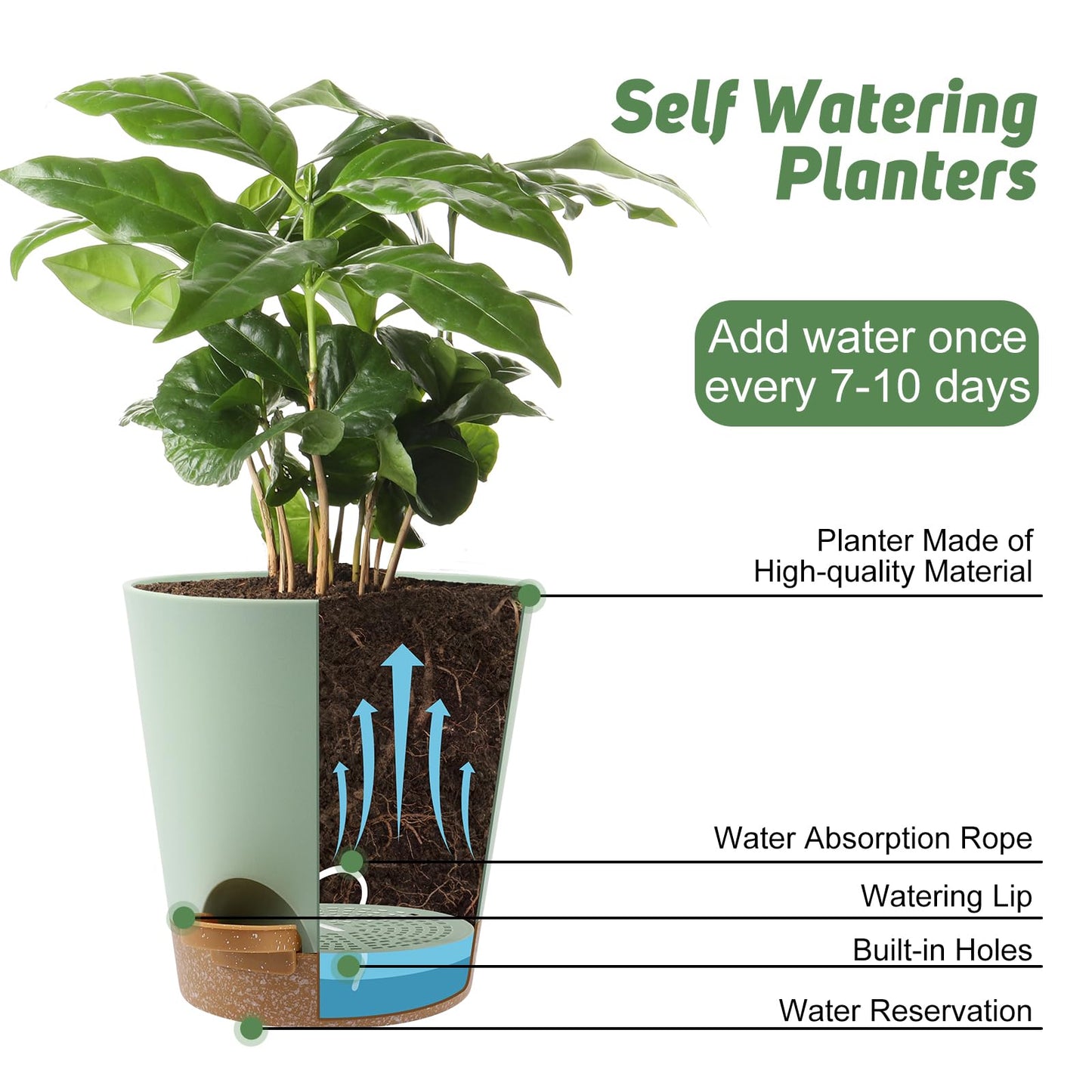 YNNICO 8-Inch Plant Pots, Self-Watering Planters with Drainage Holes & Saucers for Indoor and Outdoor Plants (2-Pack, Green)