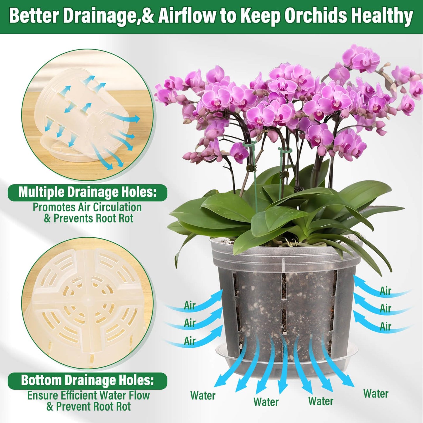 Tetutor 12 Pack Plastic Orchid Pots with Holes, 4, 5, 6 Inch Clear Orchid Pots for Repotting with Saucers Drainage and Plant Stakes, Large Small Breathable Orchids Planter Plant Pot