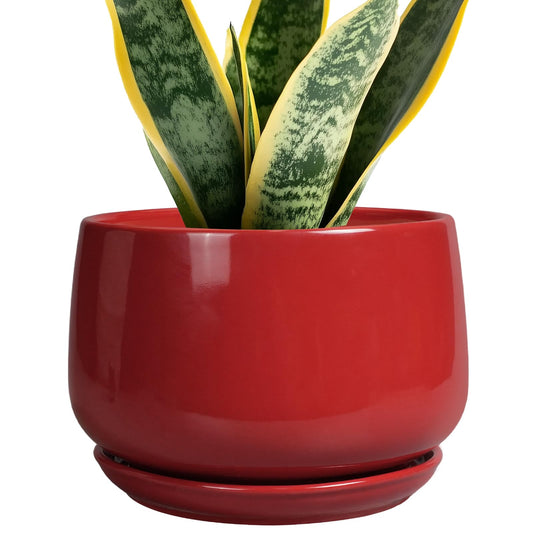 G EPGardening Ceramic Planter 7 Inch - Flower Pots for Indoor Plants, Round Planter with Drainage and Ceramic Tray, Modern Plant Pot, Bathroom Decor, Teacher Gifts, Red