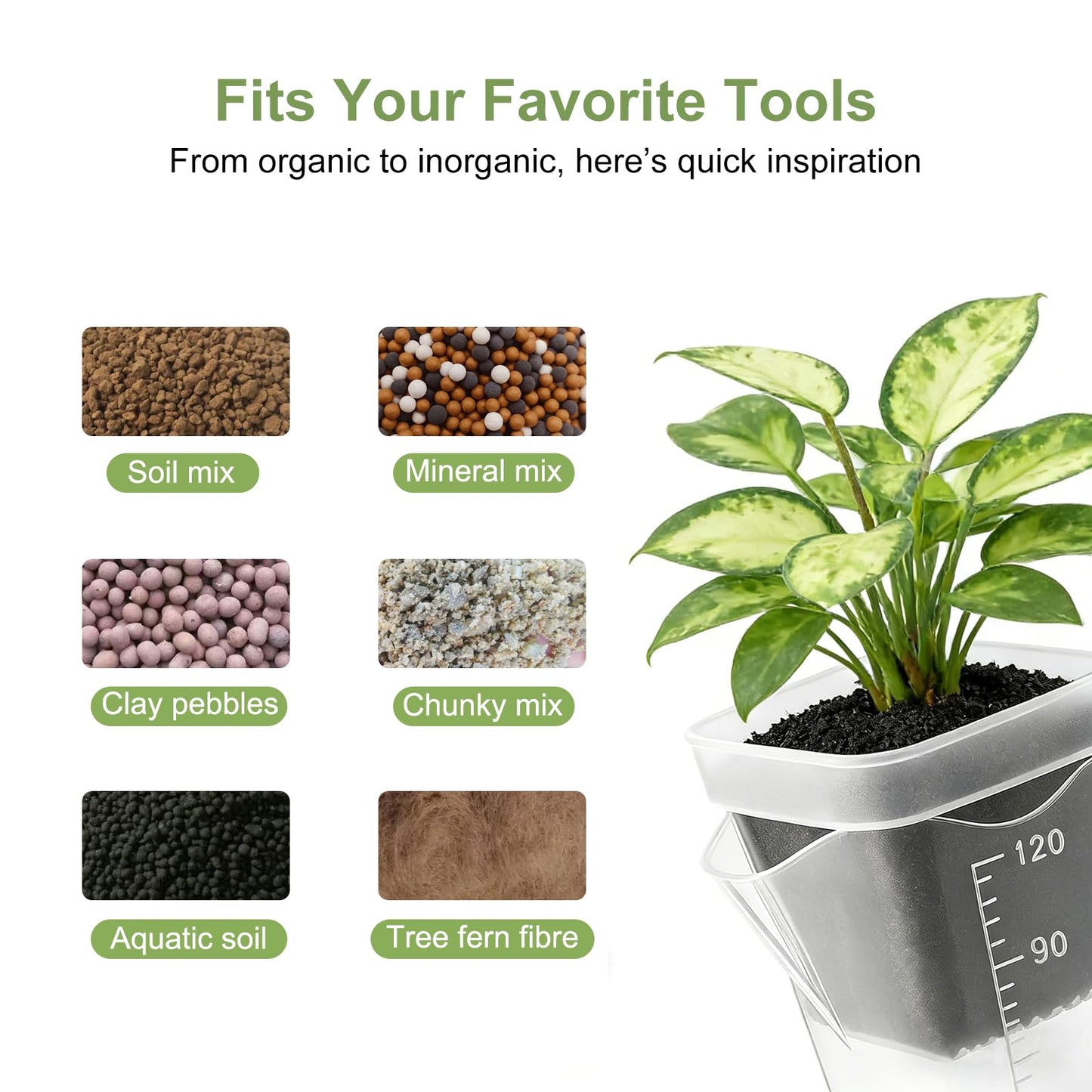 12 Pack 2" Mini Self Watering Pots for Indoor Plants - Clear Plastic Planters with Water Level Indicator & Drainage Hole, Ideal for Alocasia, African Violet, Cuttings, Seeding + 12 Plant Labels
