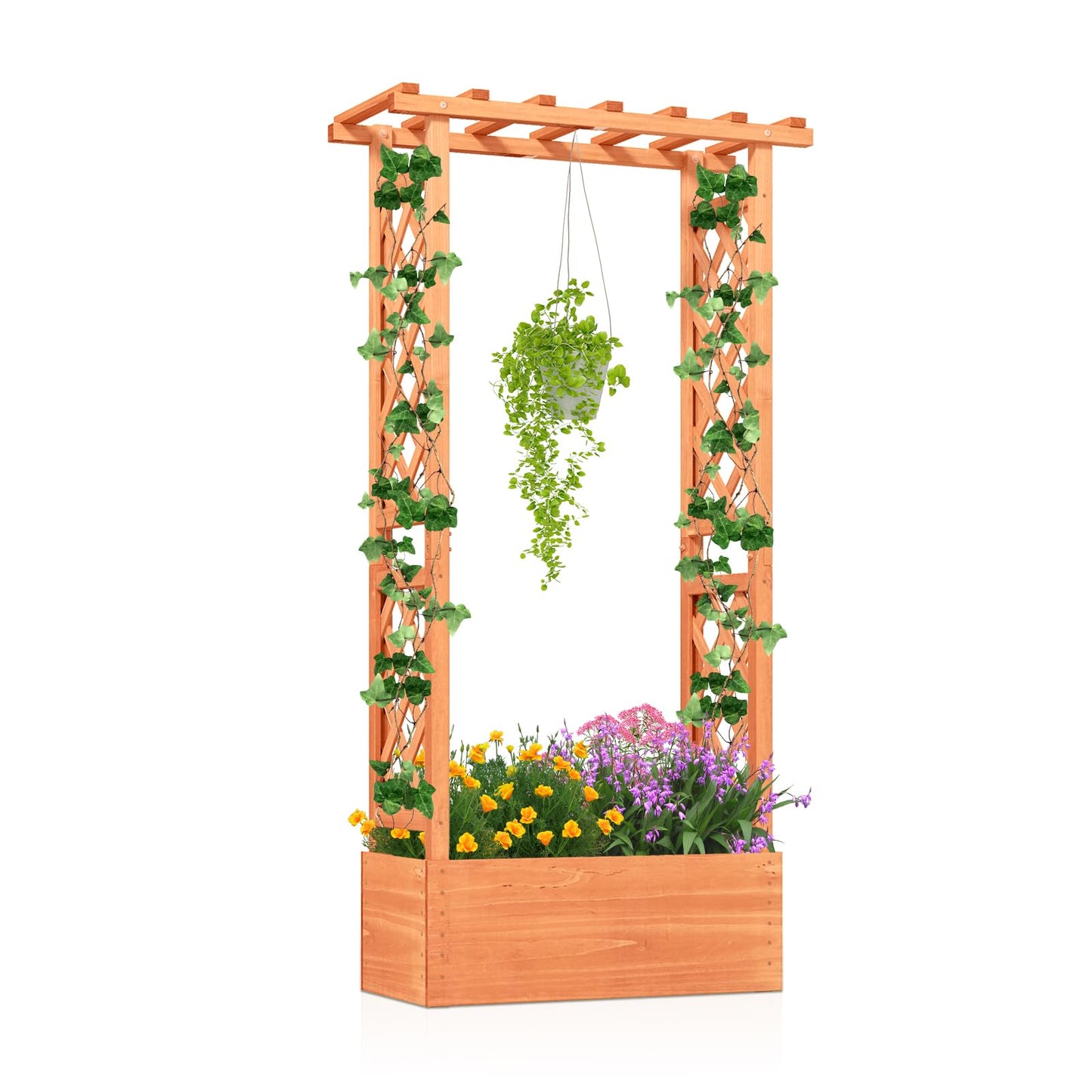 LDAILY Raised Garden Bed with Trellis, Above Ground Garden Bed with Hanging Roof, Side Trellis, & Drainage Holes, Planter Box for Outdoor Climbing Plants Vines Flowers (1, 31" L x 14" W x 60" H)