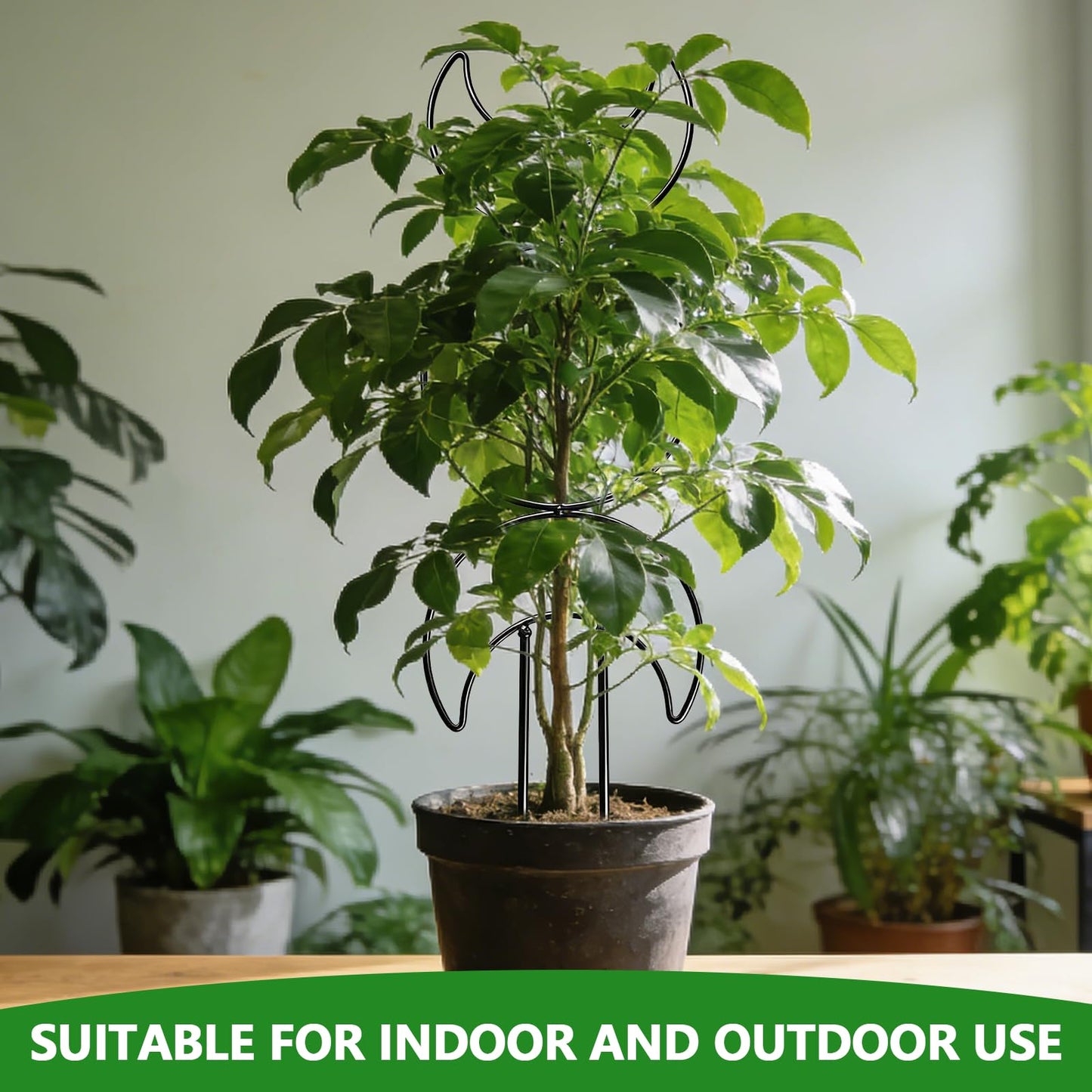4 Pack Plant Trellis for Climbing Plants Indoor Outdoor, Garden Trellis for Potted Plants, Metal Climbing Plant Support for Houseplant