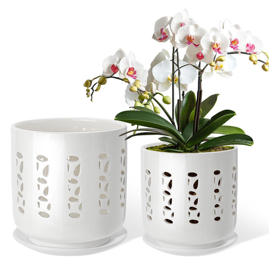 BUYMAX Ceramic Orchid Pots with Holes, 5 Inch+6 Inch Orchid Planter with Drainage Holes and Tray, Indoor Flower Pot for Repotting Orchids, Elegant White Glaze