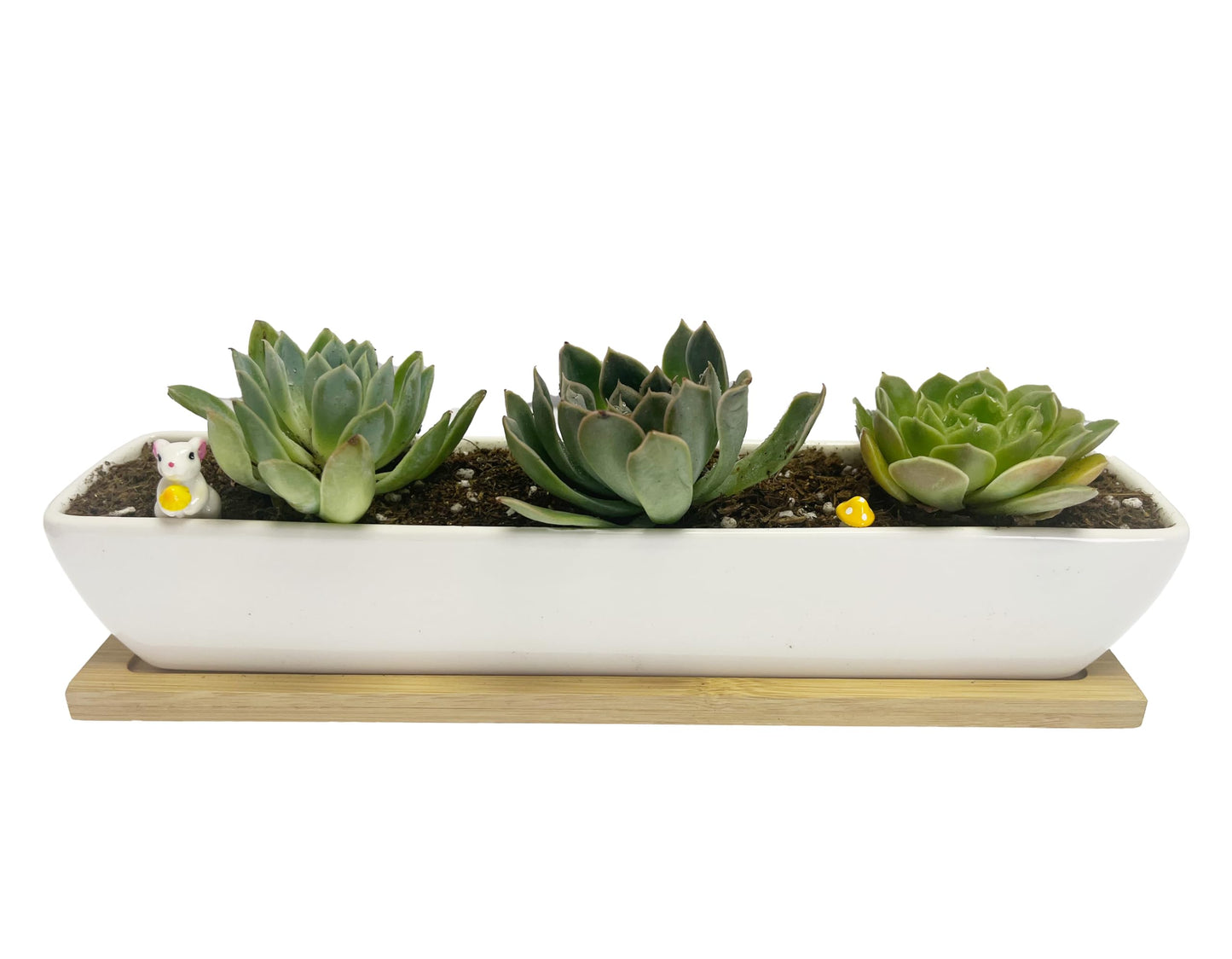 SeaStar White Rectangular Long Succulent Planter Pot,11x2.16x1.75inch Modern Minimalist Ceramic Succulent Planter Pot with Saucer for Office,Desk,Window.