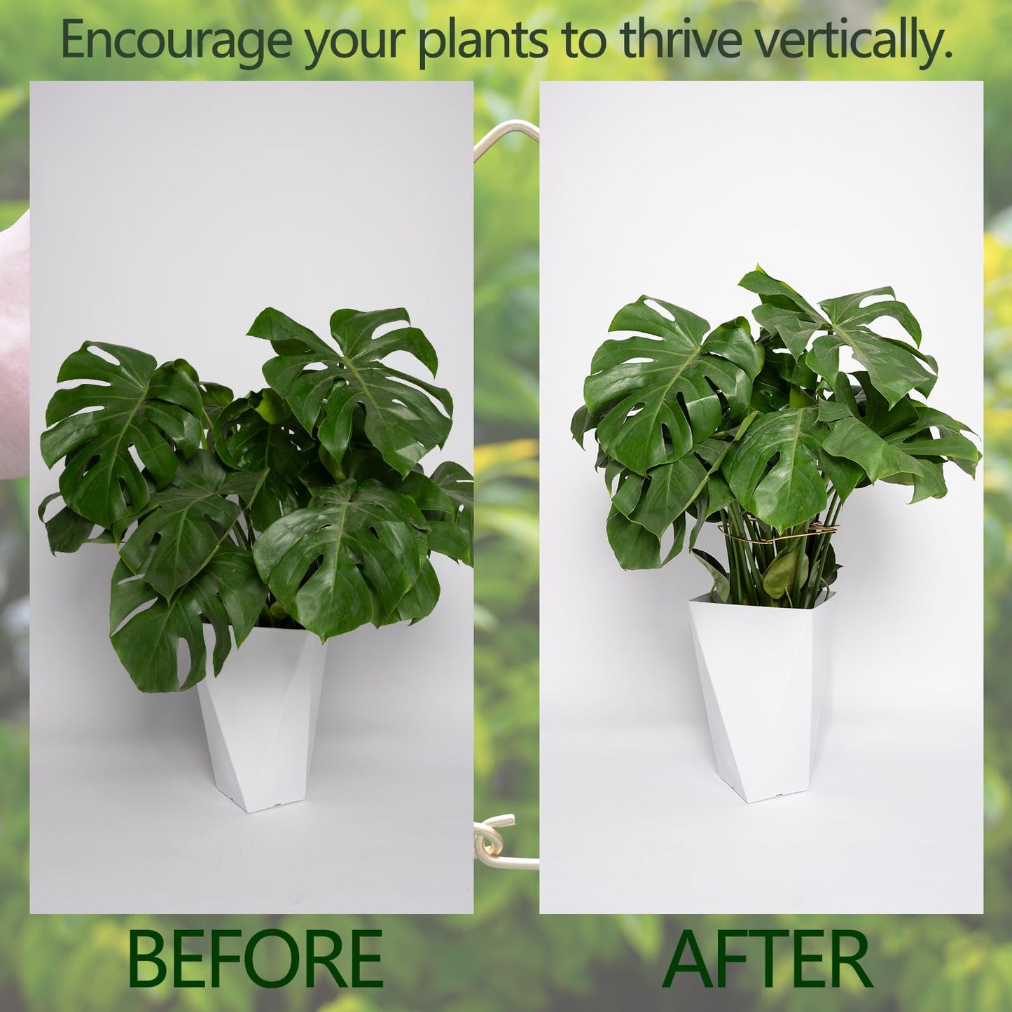 Goooxim 5PCS 11 * 9.4 Inch Monstera Plant Support Stem - Premium Adjustable Leaf Holder & Fishbone Cactus Stake, Durable Gardening Tool for Climbing Plants, Easy Installation & Enhanced Stability