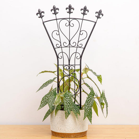 GOOOXIM Heavy Duty Trellis for Potted Plants, 24x12 Inches Elegant Metal Climbing Support for Monstera and Small Houseplants, Perfect Indoor & Outdoor Decoration for Home Garden and Balcony