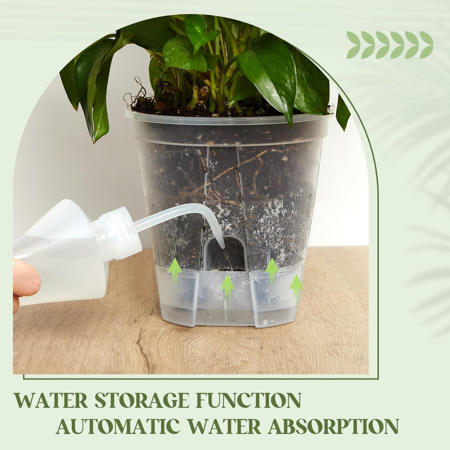 Wonderjune Self Watering Pots for Indoor Plants with Deep Reservoir and High Drainage Holes for Outdoor Plants and Flowers, Bare Root Planter(4.72'',Clear,6 Pcs)