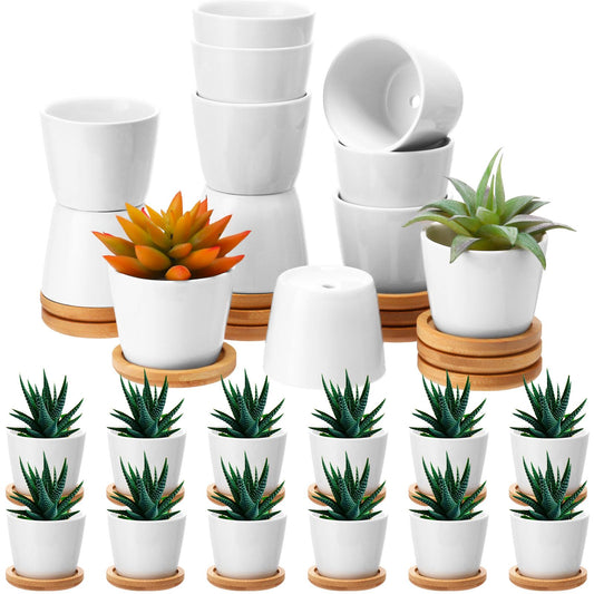 Hsei 24 Pack 2.5 Inch Mini Succulent Plant Pots Small Ceramic Flower Pot with Bamboo Tray Garden Cactus Herb Container Home Office Decoration for Birthday Mother's Day Wedding Favor Gifts (White)