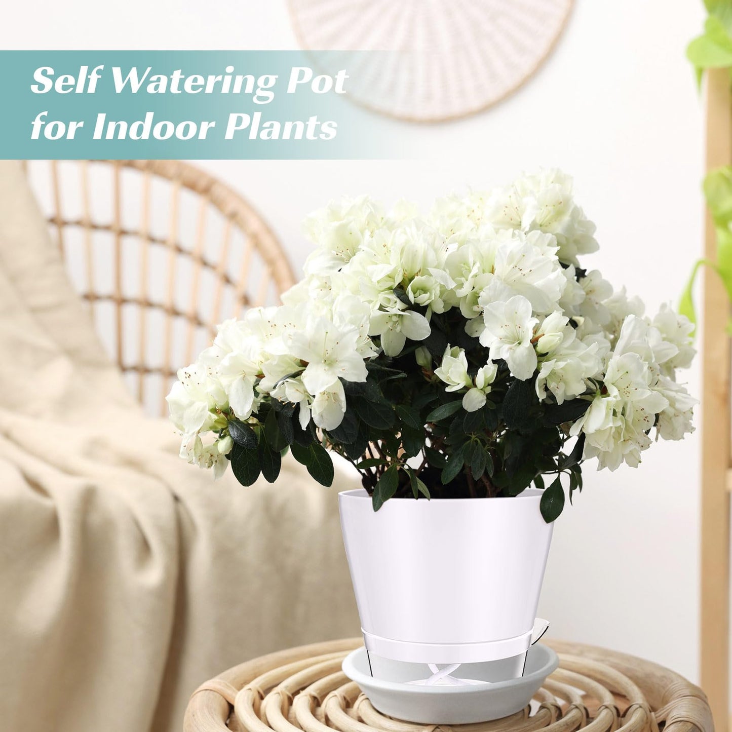 Funnymoom 12 Pack 6 Inch Self Watering Plant Pots Self Watering Planters with with Visual Reservoir and Drainage Hole Plastic Flower Pots for Indoor Plants African Violets Flowers