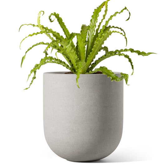 LE TAUCI 6 Inch Plant Pot, Ceramic Planter for Herbs & Small Houseplants, Tabletop Indoor Pot for Shelf, Desk and Windowsill, Small Planter with Drainage Hole & Rubber Plug, Neutral Gray