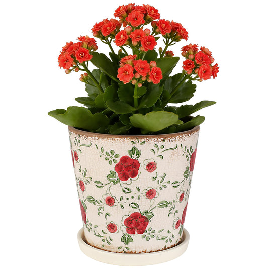 Ceramic Flower Pots For Indoor Plant, 5.5 Inch Small Ice Crack Plant Pots With Drainage Hole & Saucer, Decorative Vintage Planters For Succulent Herb Cactus Mint Basil, Garden Pot For Home Decor