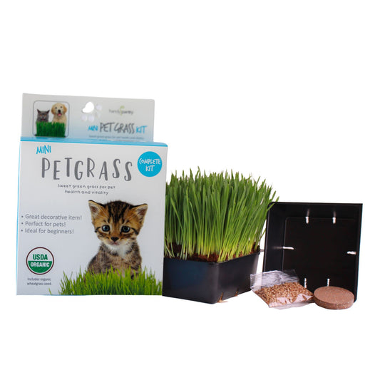 Handy Pantry Organic Cat Grass Kit - Includes 1 Tray, 1 Soil Puck, and Non GMO Wheatgrass Seed - A Healthy Treat for Cats, Dogs, Rabbits, and More