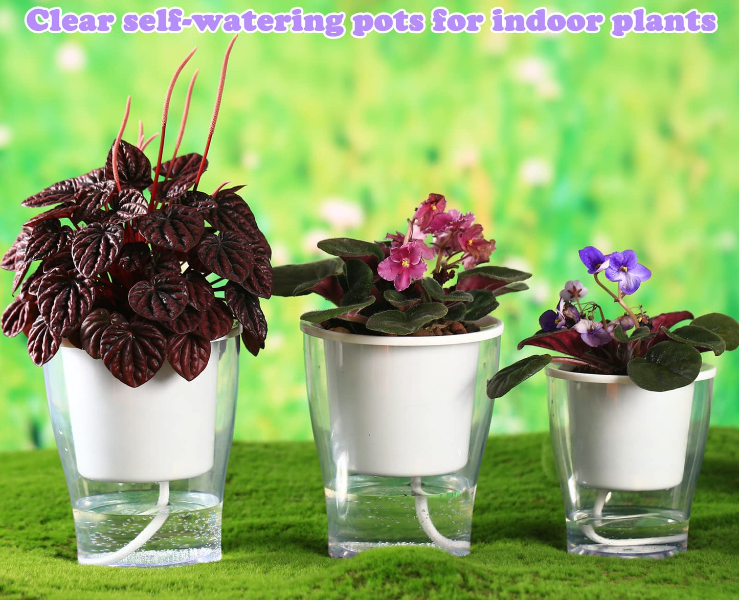 DEELF OUTLET 8-Pack 5.1 Inches Clear Self-Watering Planters Medium African Violet Pots Plastic Wick Flower Plant Pots for Indoor Plants, Spider Plant, Orchid Pot, Clear and White