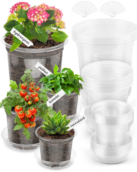 PACETAP 20Pack 6.5/5/4 Inch Reinforced Clear Nursery Pots with 20Pack Sacuers, Thickened Plastic Plant Pots with Drainage Holes, Transparent Plants Seed Starter Pot for Indoor Outdoor Garden