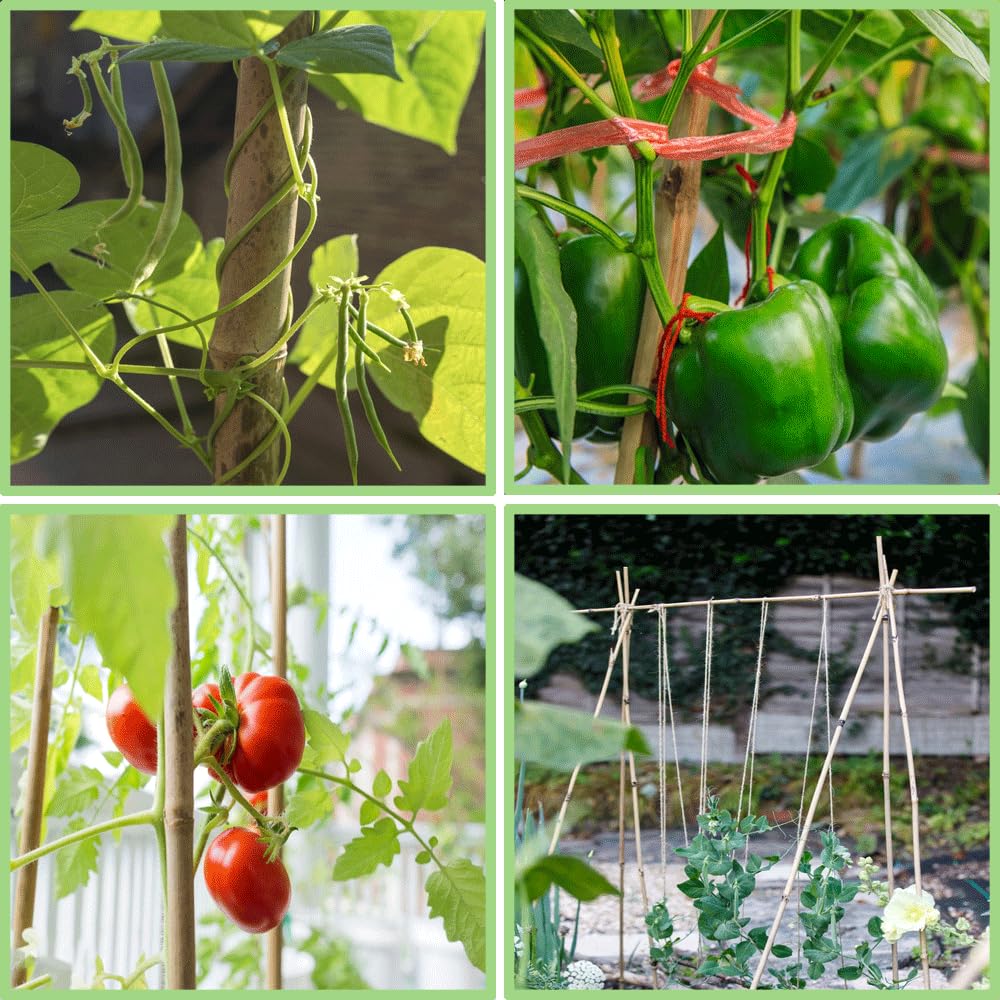 PFNRTH Bamboo Plant Stakes – 25pcs 4FT Natural Bamboo Garden Stakes for Tomatoes, Peppers, Beans, Indoor & Outdoor Plants, Sturdy Plant Support for Seedlings & Potted Plants