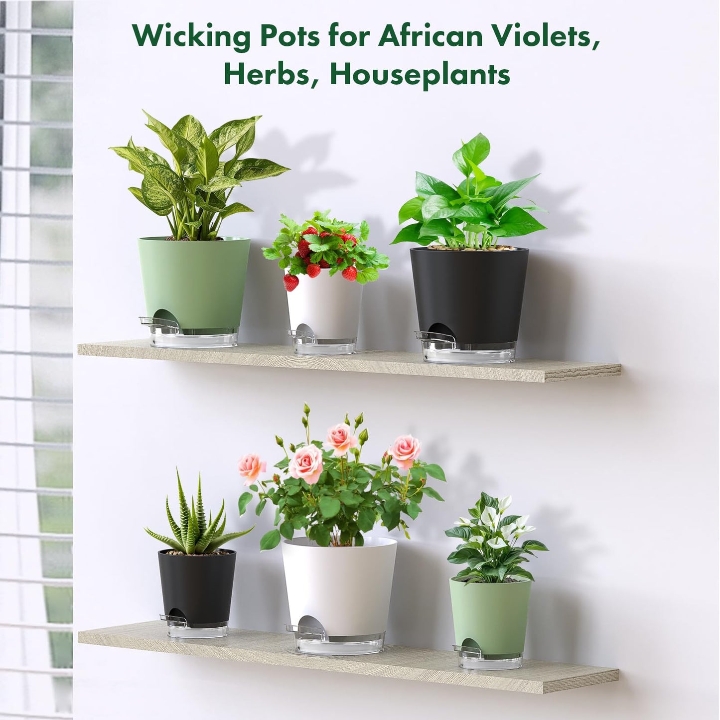 Meowell 7 inch Self Watering Pots for Indoor Plants, 5 Pack Plant Pots with Drainage Holes & Clear Reservoir for Visible Water Level, Plastic Wicking Planter Pots for House Plants and Flower, White