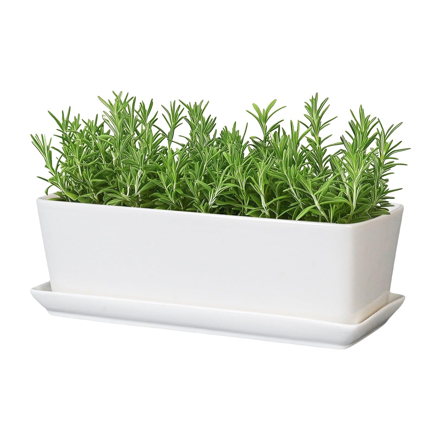 SQOWL Rectangular Planter - 10 Inch Ceramic Pots for Plants with Drainage Hole and Saucer, Succulent Pots for Indoor Outdoor, Cactus Herb Planter, Home Decor, Gifts for Plant Lovers, Glossy White
