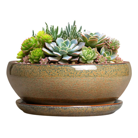 SQOWL Succulent Pots - 8 Inch Ceramic Bonsai Pots, Round Shallow Planter with Drainage Hole and Saucer, Succulent Indoor Planter, Bowl Planters Outdoor, Apartment Decor, Gifts for Women, Brown
