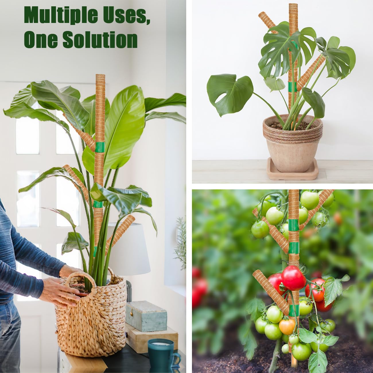Moss Pole for Monstera Plant Support, 3 Pack 15.7'' Stackable Moss Poles for Climbing Plants, Indoor Garden Coco Coir Poles for Monstera Deliciosa, Pothos, Philodendron (15.7In x 3Pack)