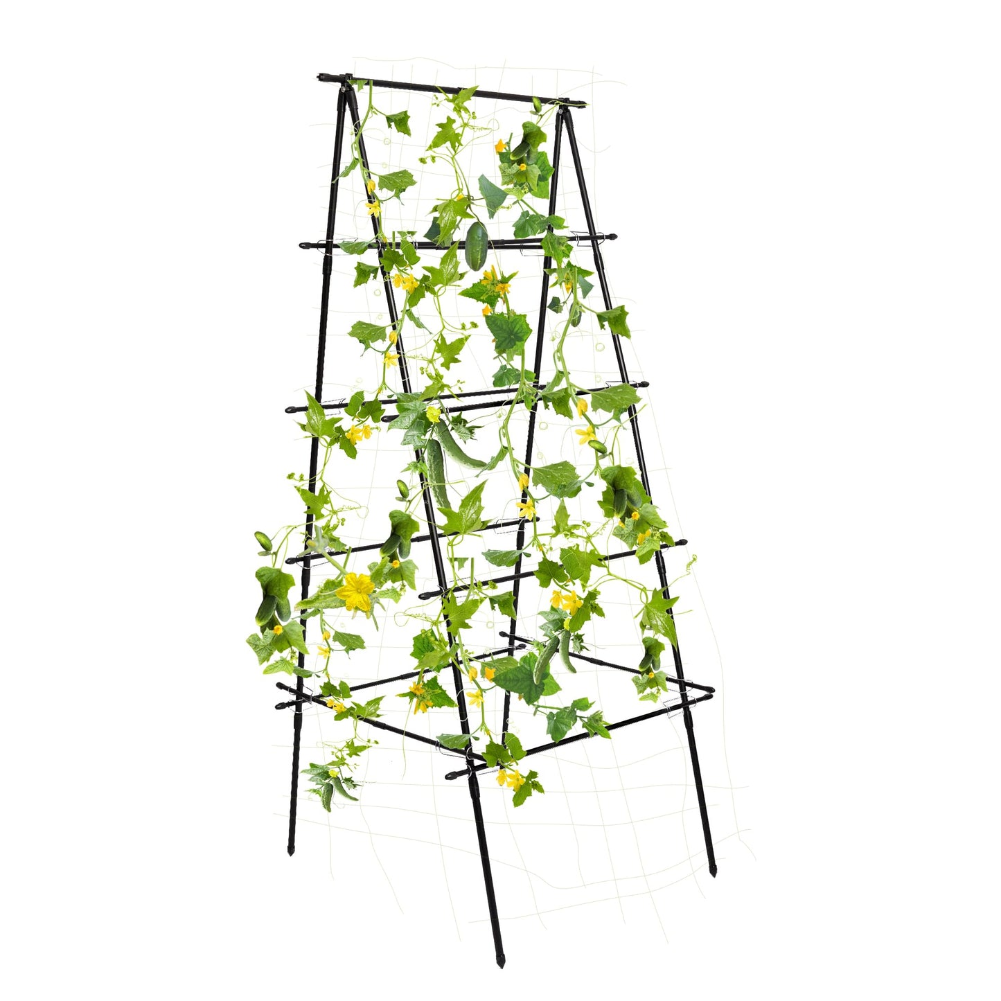 HPC Decor Cucumber Trellis for Raised Bed, 6 FT Tall Garden Trellis for Climbing Plant Outdoor, Metal A Frame Trellis with Climbing Net, Support for Vegetable, Grape, Tomato, Peas, Fruit, Vine.
