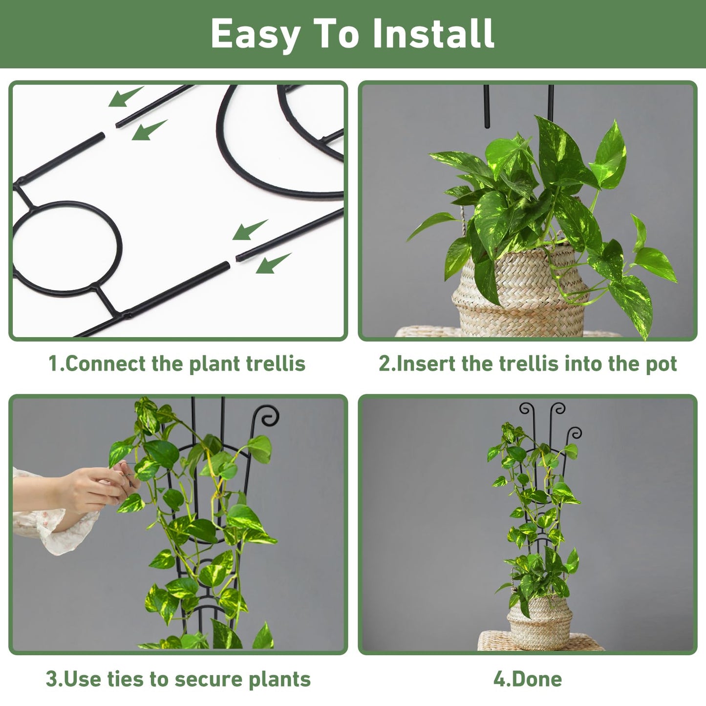4(Four) Indoor Plant Trellis for Climbing Plants, 2(Two) 32.6in Plant Trellis for Climbing Plants Indoor Outdoor, 2(Two) 31.8in Heay Duty Cactus Trellis for Potted Plants