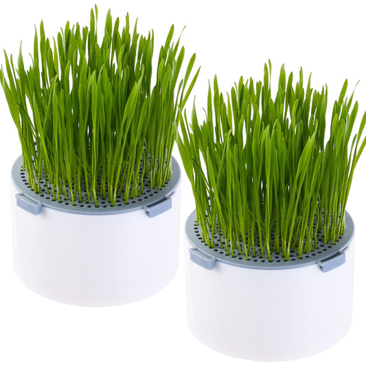 BENPIN 2Pcs Hydroponic Cat Grass Planter (no Seeds Included), Soil Free, Anti Digging, Anti Grass Uprooted, Wheatgrass Growing Kit, Cat Grass for Indoor Cats Pets (2)