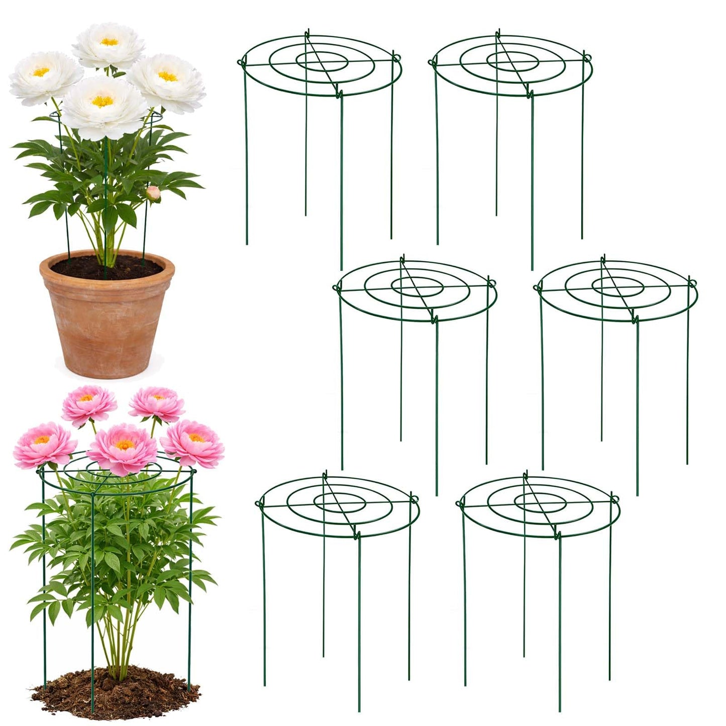 6 Pack Heavy Duty Peony Cages and Supports, 12" D x 18" H, Large Metal Support Rings, Easy Ground Insertion, Easy Installation & Durable, Sturdy for Climbing Plants