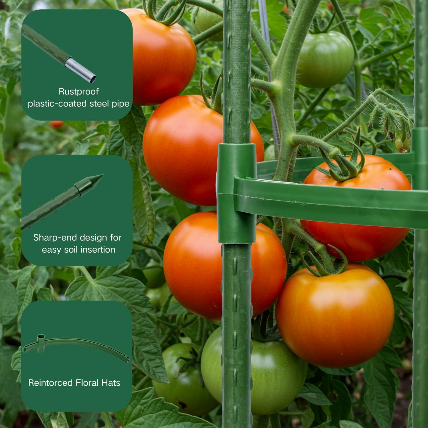 Wikdey Tomato Cages for Garden&Pots, 6 Pack 50" Plant Support Trellis for Tomatoes, Cucumbers, Beans | Heavy-Duty Steel with Rust-Proof Coating | Garden Stakes for Outdoor Indoor Plants
