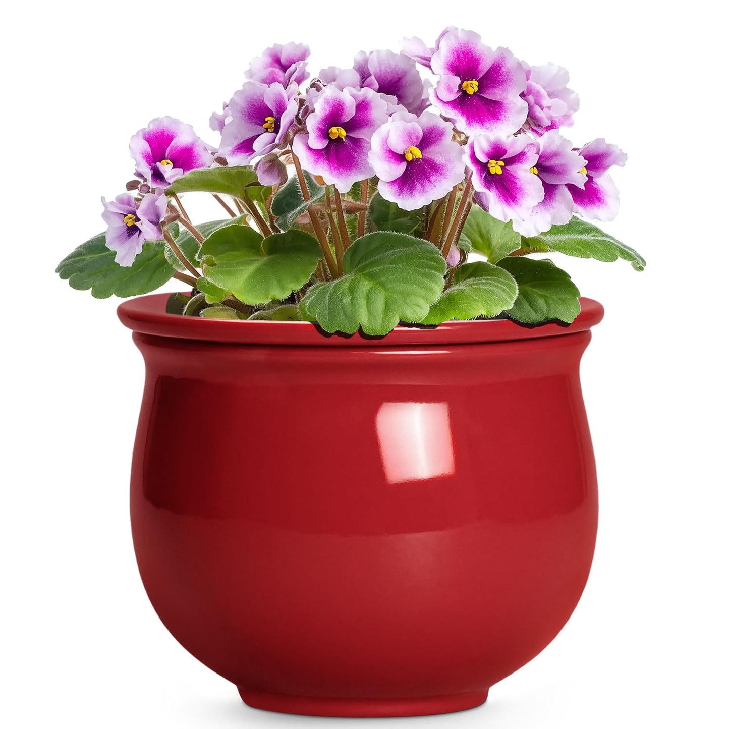 Teagas Ceramic Self Watering Planter, 6 Inch African Violet Pots with Absorbent Inner Pot, Round Self Watering Pots, Ceramic Flower Pot for Plants Indoor, Porch Decor, Plant Lover Gifts for Men, Red
