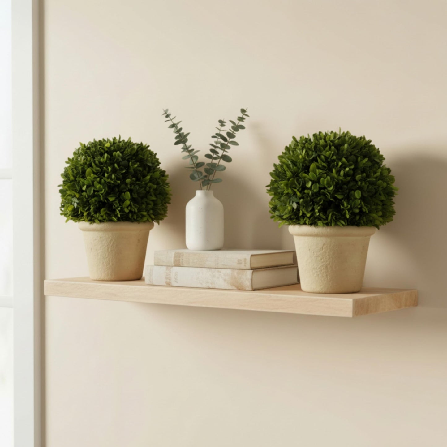 Shine Company Real Preserved Boxwood Ball Topiary in Terracotta Pot (10.75" Tall/8" Wide, Set of 2)