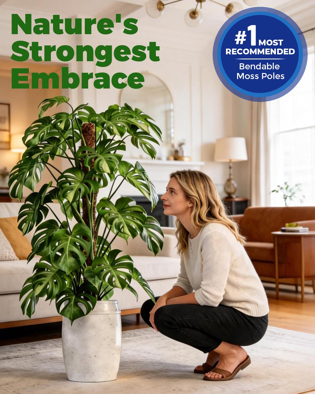 DKP 6 Pack Tall Moss Pole & Monstera Plant Support: Includes (3) 28in & (3) 48in Coco Coir Poles + 3-Piece Iron Gardening Tools for Creeper Plant Support, Pothos, Indoor Climbing Plants