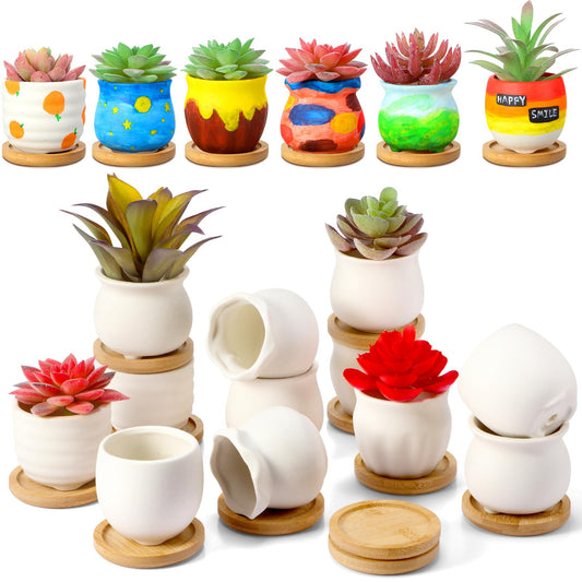 Remerry 18 Pcs 2.5 Inch Mini Succulent Pots with Bamboo Tray White Ceramic Pots Color Your Own DIY Small Planters Containers for Flower Cactus with Drainage Hole for Plant Lover