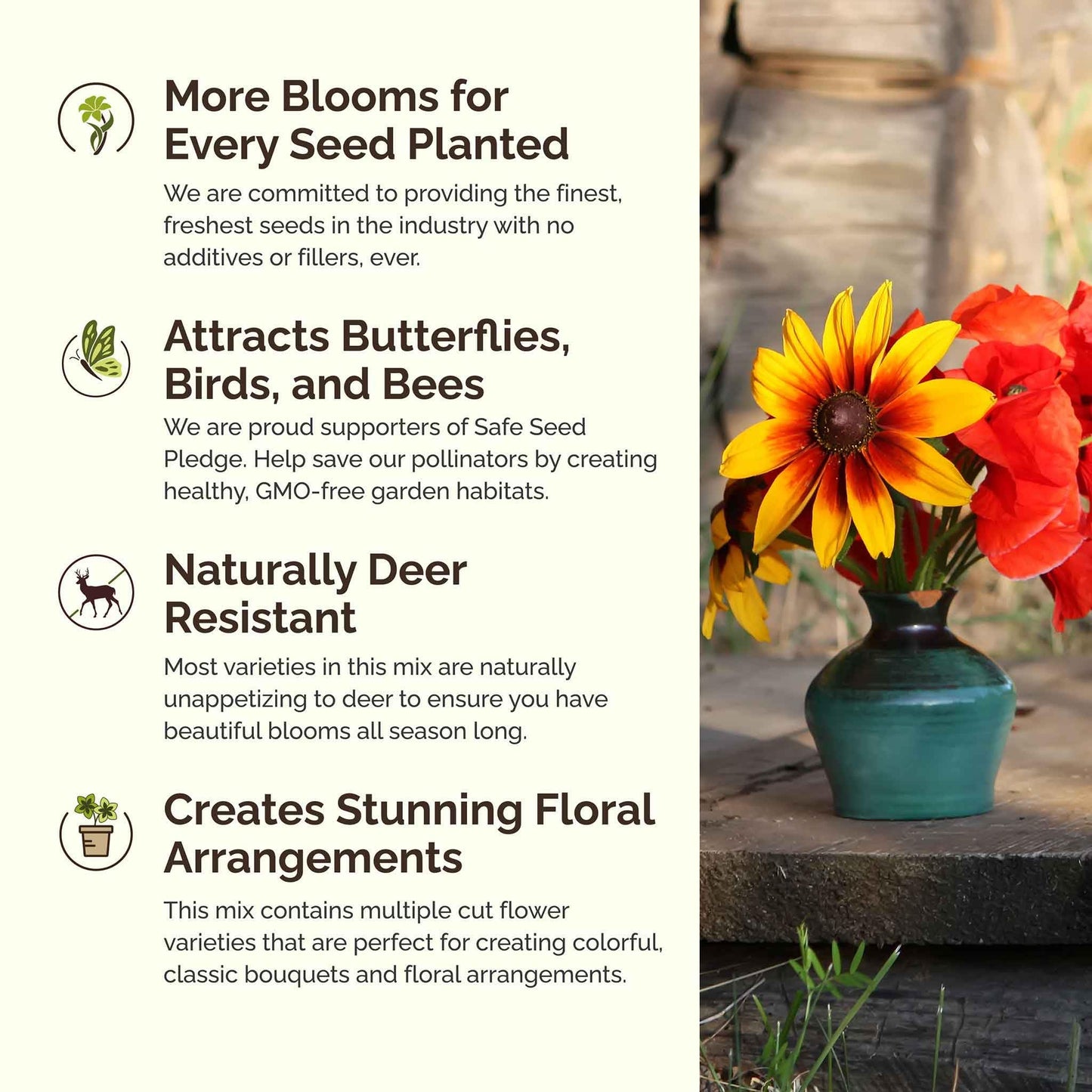Eden Brothers Southeast Wildflower Mixed Seeds for Planting, 1 lb, 480,000+ Seeds with Cornflower, Blanket Flower | Attracts Pollinators, Plant in Spring or Fall, Zones 3, 4, 5, 6, 7, 8, 9, 10