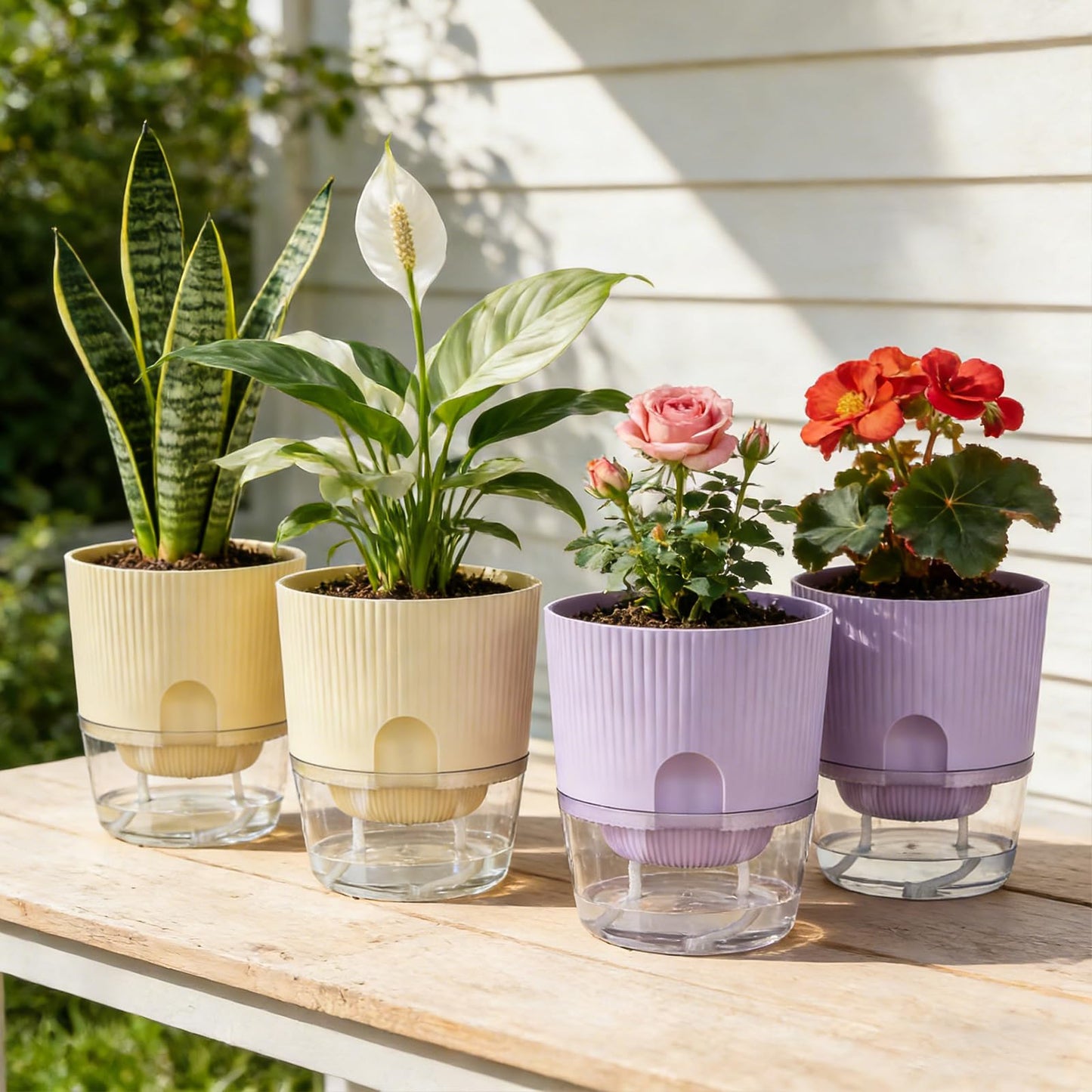 Samhe Self Watering Pots for Indoor Plants, 4 Pack 5.7 Inch Flower Pots with Deep Reservoir & Drainage Holes, Yellow Purple Plastic Planters with Water Level Window for Succulents Orchids