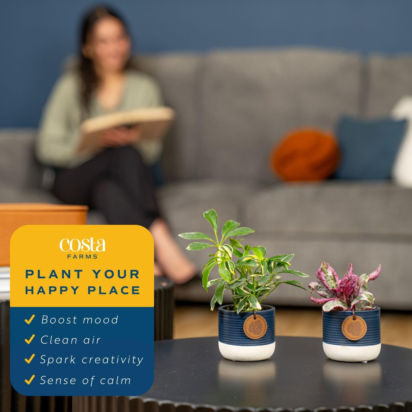Costa Farms Mini Live Indoor Houseplants (20-Pack), Starter Plants in Nursery Pots, Assorted Foliage Mix (Varieties May Vary), Bulk Tiny Plants for DIY Terrariums, Party Favors, and Home Office Decor