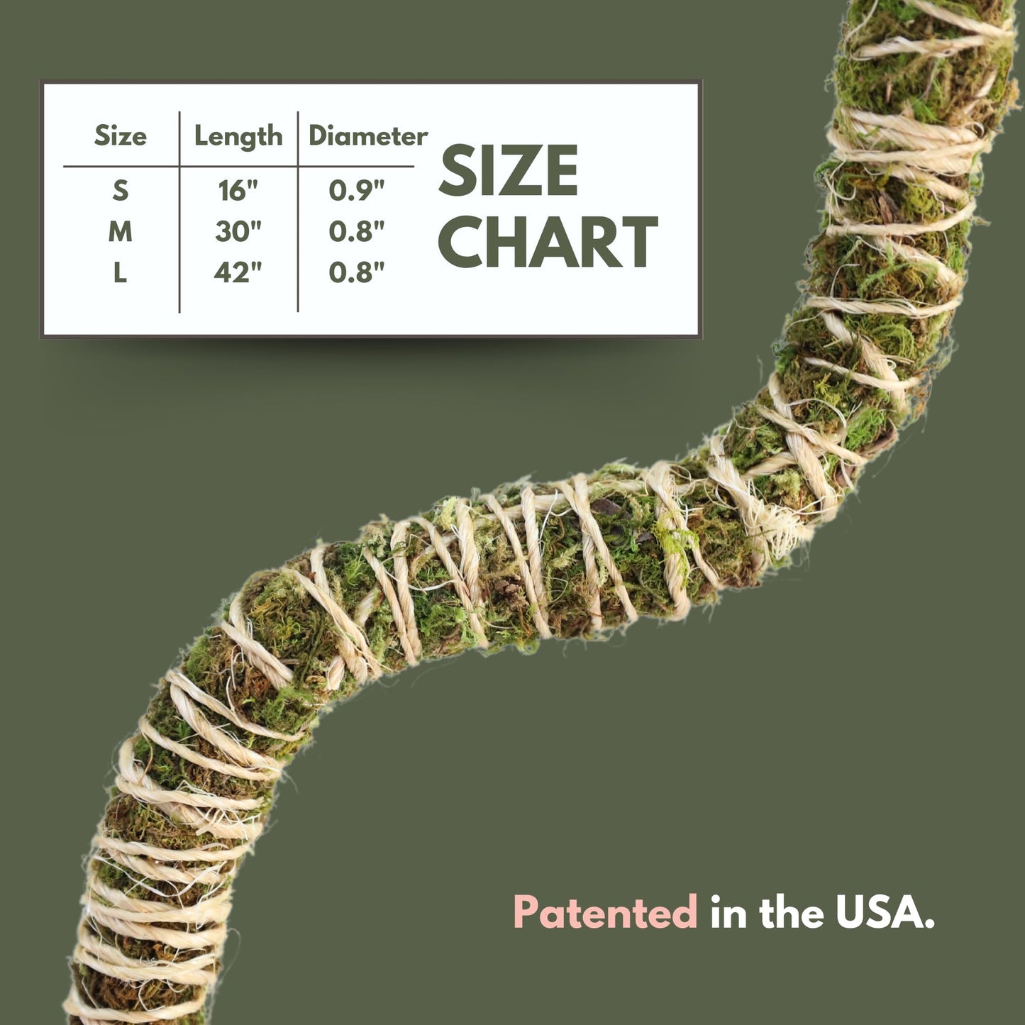 Mossify Bendable Moss Pole 3 Pack 30'', Monstera Plant Support - Natural Forest Moss Poles for Climbing Plants - Flexible & Thin Plant Sticks for Monstera Support - Indoor & Outdoor Plants Mosses Pole
