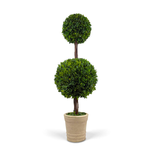 Shine Company Real Preserved Double-Ball Boxwood Topiary in Terracotta Pot (36" Tall/11 Wide)