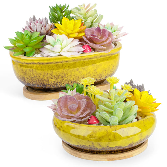 Succulent Pots, 1 Rectangle Planter + 1 Ceramic Bonsai Pot with Drain Tray, 2 Pack Large Shallow Succulent Planters for Indoor Plants, Round Cactus Flower Plant Pot for Desk Windowsill Decor