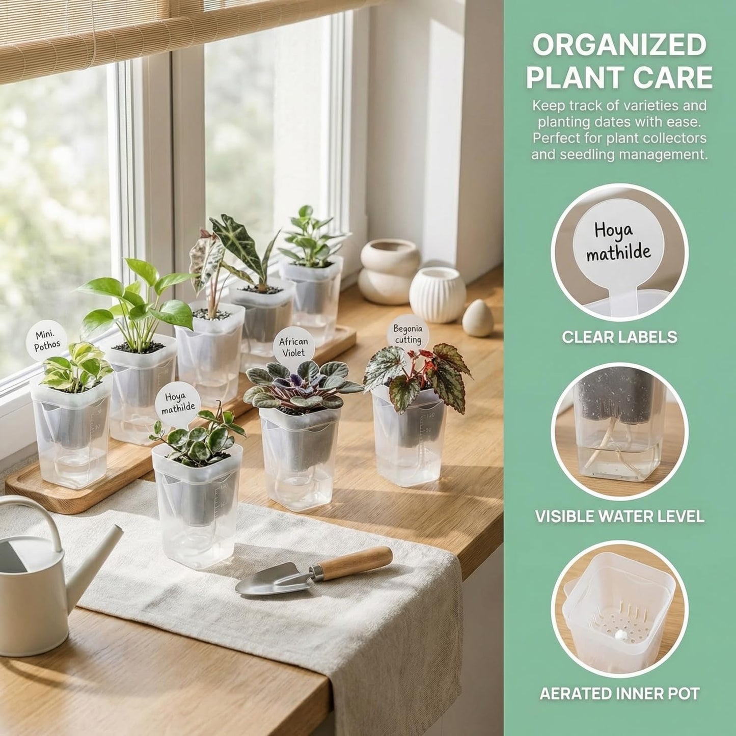 5 Pack 2" Mini Self Watering Pots for Indoor Plants, Small Self Watering Nursery Pots with Drainage Holes, Clear Plastic Plant Pots for Succulents, Cuttings, Herbs (Incl. 50x50cm Gardening Mat)