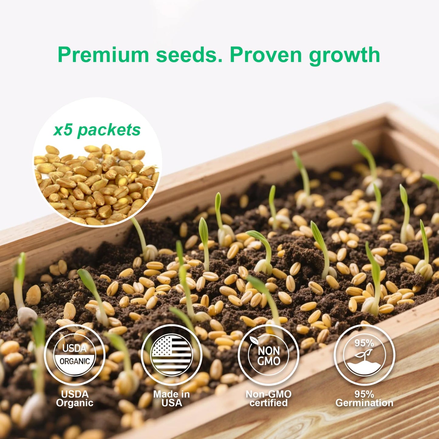 Cat Grass Kit for Indoor Cats, x5 Seed Packs, Complete with Exquisite Wood Planter Soil & Mini Gardening Tools, Good for Pet, Prevents Hairballs, Aids Digestion, Special Gifts for Cat Lovers