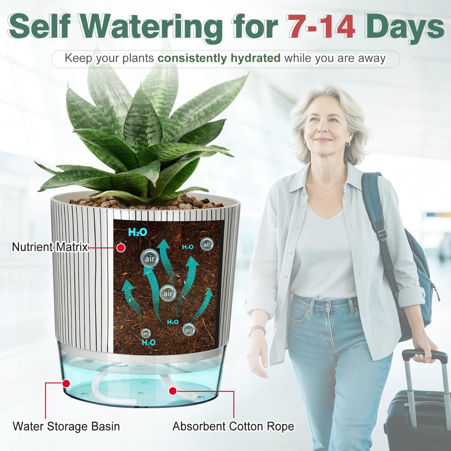 Samhe 3 Pack Self Watering Pots for Indoor Plants, 4+5.5+6.3 Inch Self Watering Plant Pots, Flower Pots with Wick Rope and Reservoir - Black Stripes
