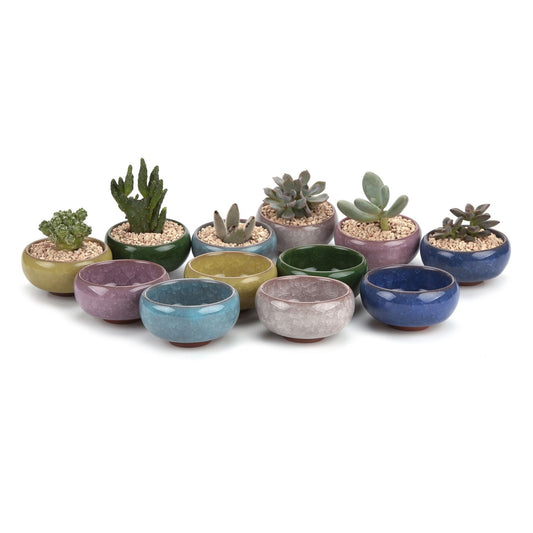 T4U 2.5 Inch Small Ceramic Succulent Planter Pot with Drainage Hole Set of 12, Ice Crack Glaze Plant Container for Cactus, Plant Lover Gifts for Women Mom Aunt Home Office Decor