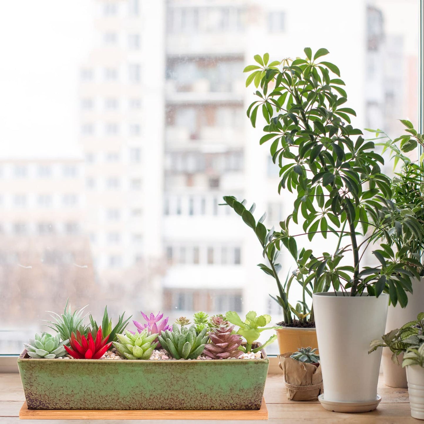 Succulent Pots - 12 Inch Large Succulent Planters with Drainage Tray, Window Sill Planter, Long Rectangle Ceramic Pots for Indoor Cactus Plants Shallow Bonsai Window Box for Home Garden Decor