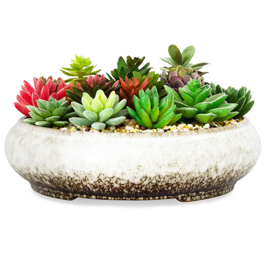 Succulent Pots - 11.5 Inch Ceramic Bonsai Pots with Drainage, Large Shallow Succulent Planters for Indoor Outdoor Plants, Round Glazed Cactus Flower Plant Container Bowl Home Desk Decor(White)