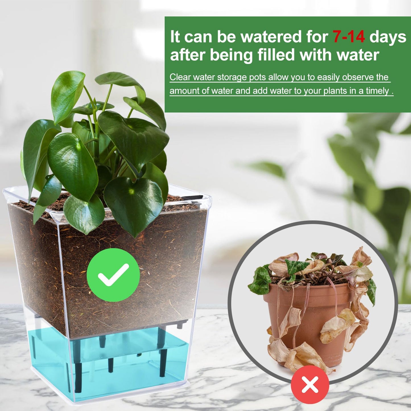 IWNTWY Self Watering Pots Set, 3 Pack 2.7 Inch Pots for Indoor Plants, Clear Nursery Planter with Deep Reservoir for Succulents, Seedlings, Small Plants