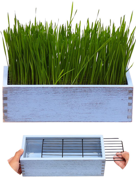 BENPIN Wooden Cat Grass Planter (no Seeds Included) with Anti Digging Design, and Removable Plastic Liner, Wheat Grass Growing Pot, Cat Grass for Indoor Cats Pets (Vintage Blue)