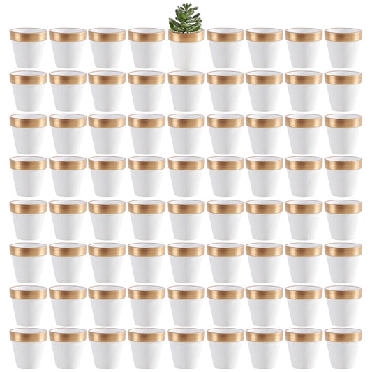 Yishang 72 pcs Small Mini White&Gold Clay Pots, 2.5'' Terracotta Pot Clay Ceramic Pottery Planter,Cactus Flower Terra Cotta Pots,Succulents Nursery Pots,with Drainage Hole,for Crafts,Wedding Favor