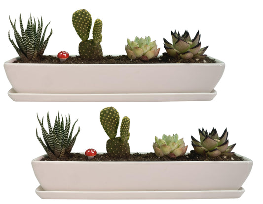 SWONVI 11.1 inch Long Rectangle White Ceramic Succulent Planter Pots with Ceramic Saucers/Mini Flower Plant Containers wPlant Window Boxes for Office/Home, (2 pcs Rectangle Pot)