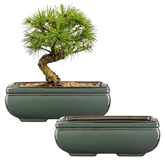 Ceramic Bonsai Pots with Drainage Hole Set of 2, Green Glazed Bonsai Planters for Indoor/Outdoor Use, Rectangular Shallow Bonzai Tree Pot for Succulent, Orchids, Cacti, Home, Patio, Garden, 8.7"x5.9"